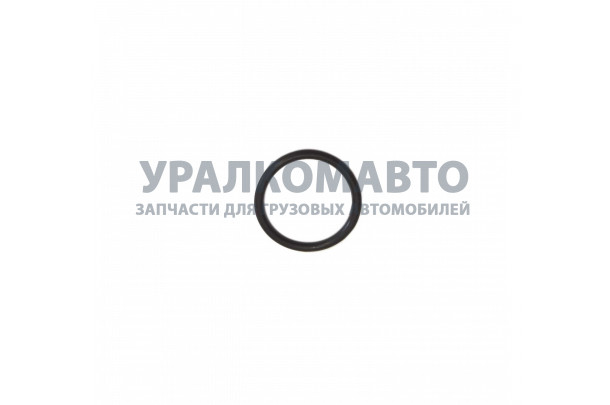 Кольцо уплотнительное корпуса термостата дв.  ISF2.8 