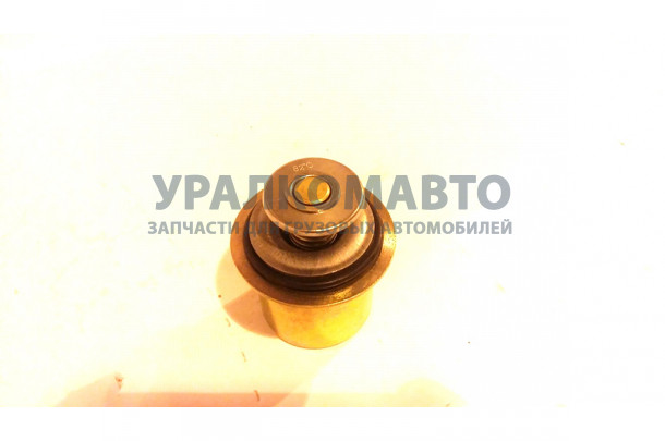 термостат 82C